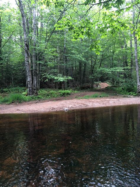 Atv Users Driving Through Atlantic Salmon Spawning Habitat In The