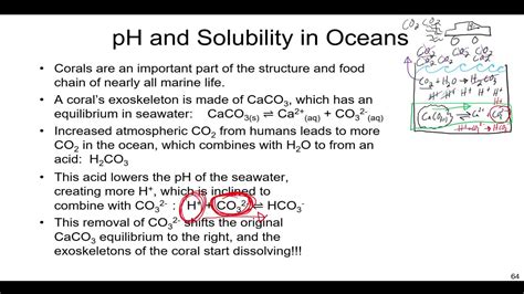 How Does PH Affect Solubility YouTube