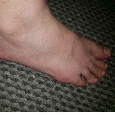 Kuwait Anal Xhamster