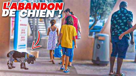 ILS ABANDONNENT LEUR CHIEN POUR PARTIR EN VACANCES YouTube