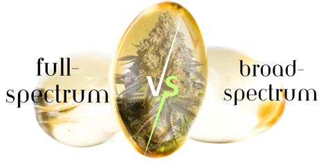 Broad Spectrum Vs Full Spectrum Cbd