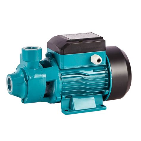 W Hp L Min Electric Surface Pump Motor Cast Iron Mini Pompa