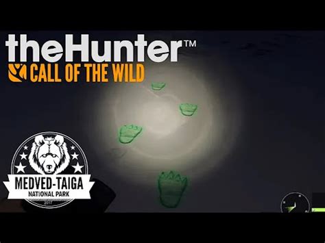 Thehunter Youtube