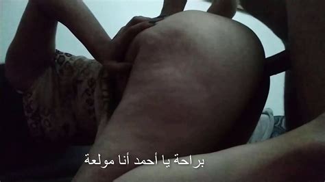 Egyptian Bitch With A Big Ass Shermota Arab Free Porn Dd XHamster