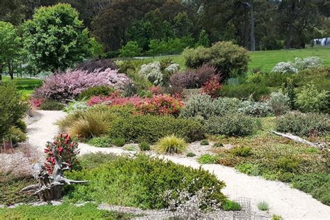 A High Country Native Garden At Cloudy Hill Gardendrum Australia