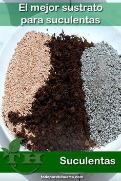 Three Different Types Of Soil In A White Bowl With The Words