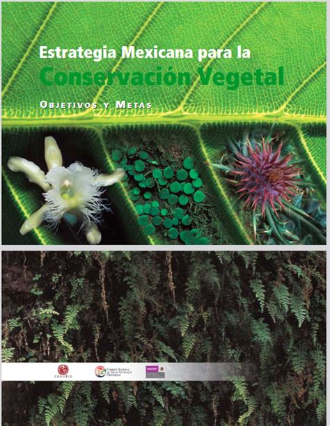 Estrategia Mexicana para la Conservación Vegetal Biodiversidad Mexicana