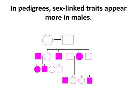 Ppt The Chromosomal Theory Of Inheritance Powerpoint Presentation