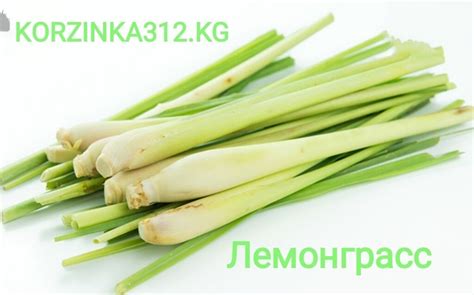 Лемонграсс (лимонное сорго) широко используется в: 1580 KGS Здоровое ...