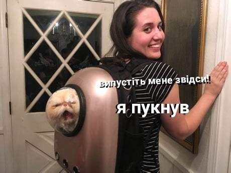 Ржака до сліз!!! СміШок Смішні приколи про котів. 🐈😂😂 Кіт в душній ...