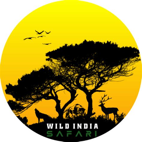 Planning Tiger Safari In India