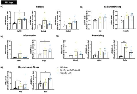 Ijms Free Full Text Lifetime Evaluation Of Left Ventricular