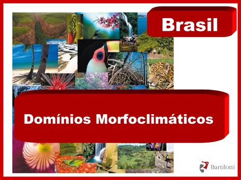 Domínios Morfoclimáticos do Brasil PPT