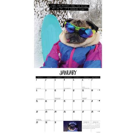 2023 Doug the Pug Wall Calendar | Michaels