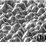 SEM images of the wafers with various KOH etching time of (a) 120s, (b ... 