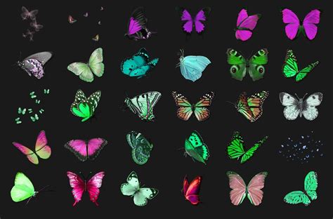 200 Butterflies Transparent Png Photoshop Overlays Backdrops By