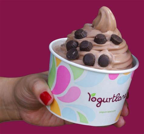 Yogurtland: National Frozen Yogurt Day