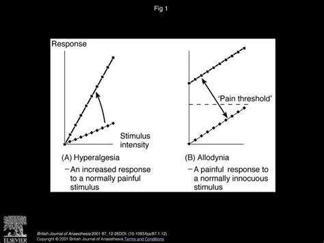 Mechanisms Of Neuropathic Pain Ppt Download