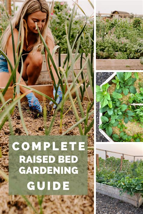 Complete Raised Bed Gardening Guide For Beginners From Soil To Soul