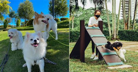 12 Pet-Friendly Parks