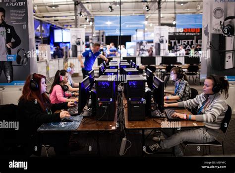 Girls Lined Up In Front Of Their Computers At A Lan Party In Copenhagen