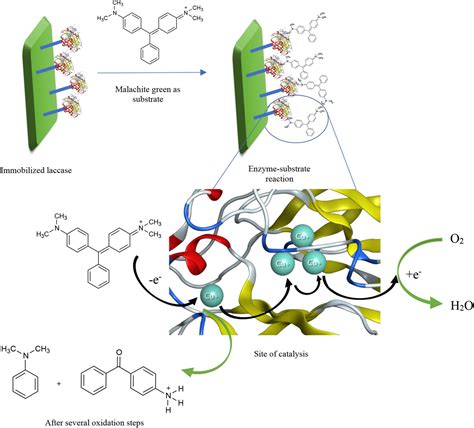 Frontiers Current Development In Decolorization Of Synthetic Dyes By