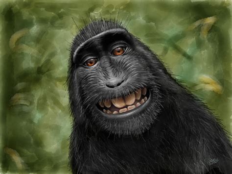 Artstation Macaca Nigra Black Crested Macaque 2013