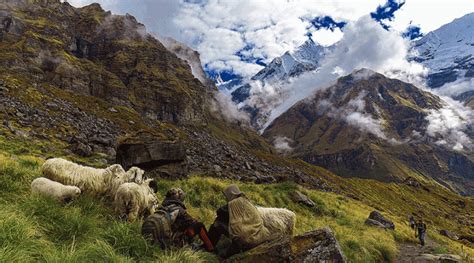 ECOSISTEMA MONTAÑOSO Natural landmarks Landmarks Nature