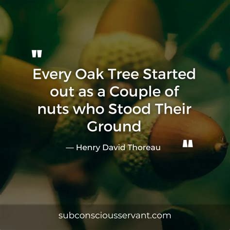 60+ Deep And Meaningful Oak Tree Quotes - Subconscious Servant