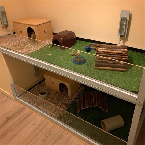 Custom Built Indoor Guinea Pig Cage | Indoor guinea pig cage, Guinea ...