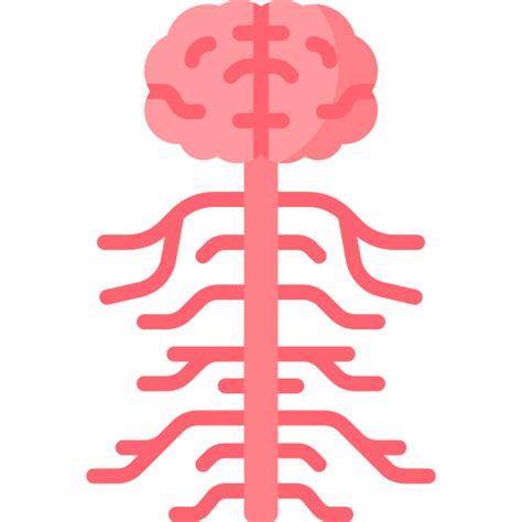 Nervous System Free Healthcare And Medical Icons