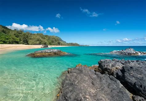 Lumaha'i Beach on Kauai's North Shore - Backyard Image