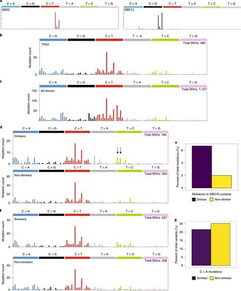 Mutational Spectra Of Escc Drivers A Spectra Of The Apobec Associated