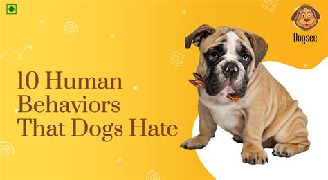 Why Do Dogs Hate Certain Dogs