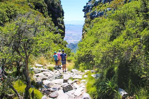 Platteklip Gorge Hike On Table Mountain STINGY NOMADS