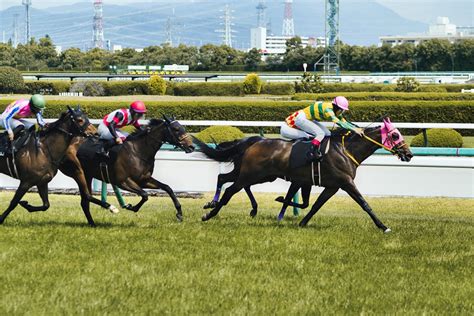 競馬の脚質の1つである「まくり捲り」とは？特徴や予想への活かし方を解説 みんなの競馬検証