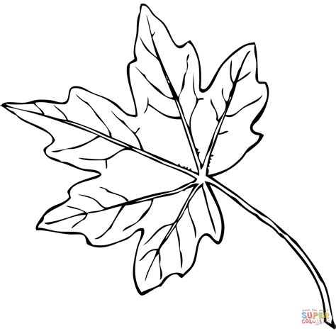 Coloriage Feuille d érable Coloriages à imprimer gratuits