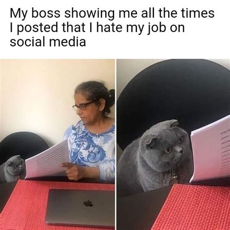 Lady Showing A Cat Papers Meme Template