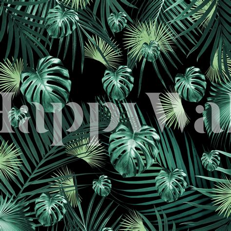 Tropical Jungle 1 Wallpaper | Happywall