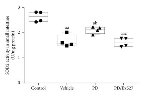 Protein Expression Acetylation And Activity Of SOD2 In Small