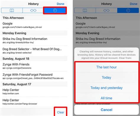 Como limpar o histórico no iPhone para aumentar a velocidade e o