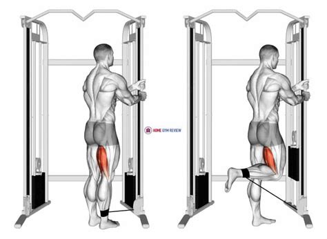 Cable Standing Leg Curl Home Gym Review