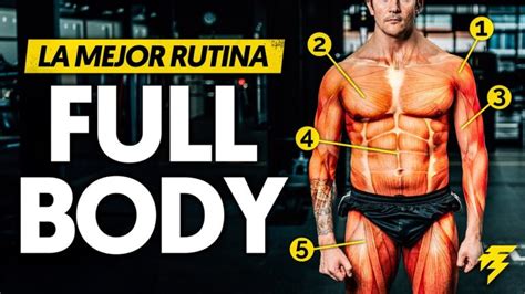 Rutina Full Body D As Gu A Completa Para Maximizar Tu Entrenamiento