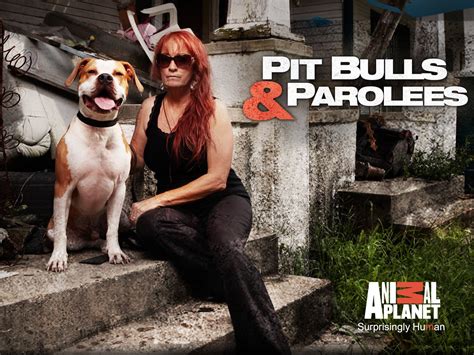 New Season Pitbulls And Parolees 2024 - ashlee jasmine