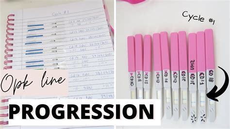 Ovulation Test Line Progression Cycle Trying To Conceive Baby