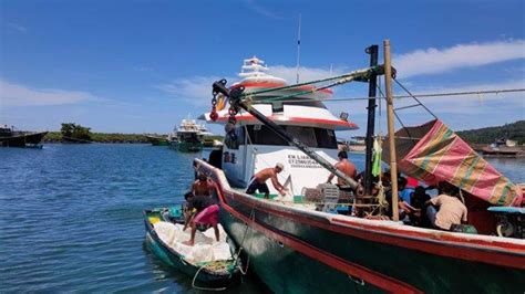 Mengintip Aktivitas Nelayan Di Pelabuhan Perikanan Manado Sulawesi