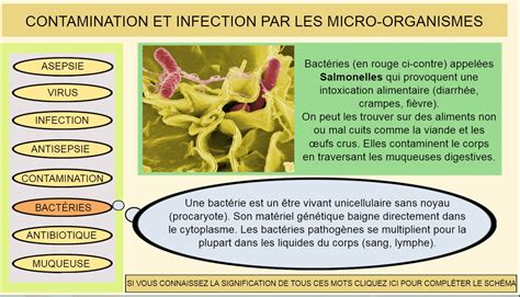 Un schéma BILAN sur la contamination et l infection Collège André