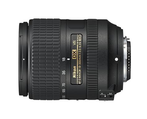 Best Wildlife Photography Lenses For Nikon Cameras – 2021 Review ...