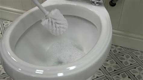 How To Get Rid Of Limescale In Toilet Bowl Porter Sencong