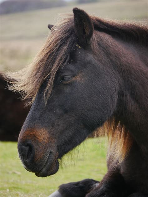 10 000 darmowych obrazów z kategorii Dartmoor Bike i Dartmoor Pixabay